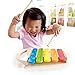 Hape Wooden Toddler Xylophone Musical Instrument Sound Pounding Play Early Learning Developmental Toy with 5 Keys for Kids, Rainbow