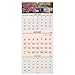 AT-A-GLANCE 3-Month Wall Calendar 2016, 14 Months, Recycled, Scenic, 12 x 27 Inches (DMW503-28)
