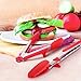 Homitt Kitchen Salad Tongs Sets (12 inch & 9 Inch), Stainless Steel Locking Tongs with Fully Support Silicone Tips for Everything from Stir Fry to Turning over Baking Food – Red (With Stand)