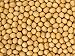 Premium Grade Non-GMO Soybeans Bulk Great Price (20 Pounds)