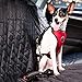 Nasus Dog Car Harness Plus Connector Strap, Adjustable Double Breathable Mesh Fabric Vest Harness with Safety Seatbelt in Vehicle for Dogs Road Trip Daily Walks (Small, Red)