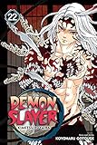 Demon Slayer: Kimetsu no Yaiba, Vol. 22: The Wheel