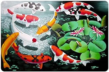Japanese Koi Fish Durable Home Indoor/Outdoor Floor Mat Doormats 23.6 x 15.7 inches(Small)