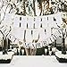 GuassLee JUST Married Banner Car Decorations, Gold Glitter Just Married Sign Garland for Bridal Shower Decorations, Photo Props and Car Decorations