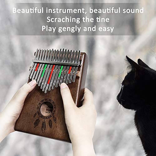 1 Portable+Instruction+Instruments+Feathers+Beginners