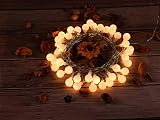 2300K Globe String Light, Dailyart LED Starry Light Fairy Light for Garden,Wedding,Xmas Party, Battery-powered, 13feet, Warm White