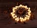 2300K Globe String Light, Dailyart LED Starry Light Fairy Light for Garden,Wedding,Xmas Party, Battery-powered, 13feet, Warm White primary