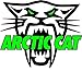 Arctic Cat Version 2 Decal 5
