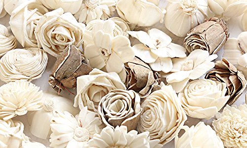 Sola Wood Flower 50 pack Classic Assortment - Import It All
