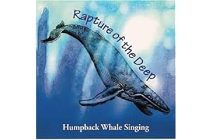 Rapture of the Deep-Humpback Whale Singing
