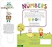 Little Friends Sound Book: Numbers