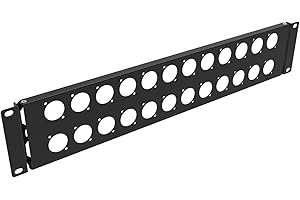 QiaoYoubang 2U Hinged Blank Patch Panel with 24 D-Series Connectors Punch-Out Holes for 19 inches AV, Sound, Computer Equipment Racks.(2U24DBP)