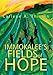 Immokalee's Fields of Hope by Carlene A. Thissen