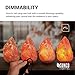 Sunco Lighting 4 Pack Crystal Salt Lamp, 5-10 lbs, Natural Himalayan Salt, Hand Crafted, Rose Wood Base, Dimmable, Warm Amber Glow