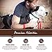 Holistic Select Natural Wet Grain Free Canned Dog Food, Chicken Pâté Recipe, 13-Ounce Can (Pack Of 12)