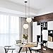 Light Society Zeno Globe Pendant, Frost White with Black Finish, Contemporary Mid Century Modern Style Lighting Fixture (LS-C175-BK-WH)