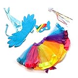 Rainbow Magical Fairy Flying Unicorn Set