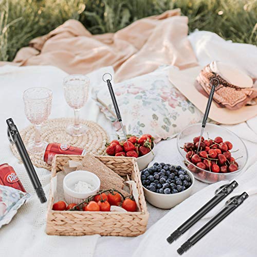 Stainless Steel Toothpick Set(3pcs),Metal Toothpick,Resuable Titanium Toothpick, KeychainToothpick Holder for Teeth, Travel Camping Picnic Hiking Supplies, Black