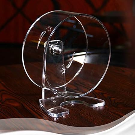 hamster wheel treadmill