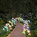 Outdoor Solar Butterfly Garden Stake Lights,2Pack Digiroot Solar Powered Lights with 8 Lily Flower&2 Butterfly,Multi-color Changing LED Solar Decorative Lights for Garden,Patio,Backyard(Purple&White)