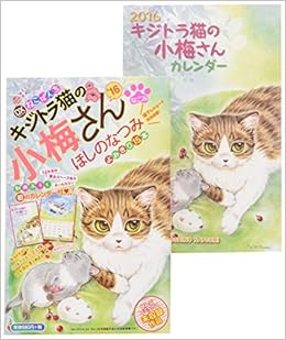 Dxねこぱんち キジトラ猫の小梅さん 16 コミック にゃんcomi ペーパーバックスタイル猫漫画廉価コンビニコミックス ほしのなつみ 本 通販 Amazon