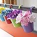 OGIMA Hanging Flower Pots - Metal Iron Wall Hanging Planter Indoor/ Outdoor For Railing Fence Balcony Garden Home Decoration (Pack Of 5)