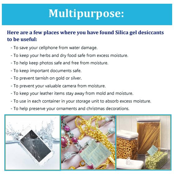 Desiccant Packs 100 Packets 2 Gram Silica Gel Moisture Absorber for