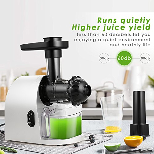 Slow Masticating Juicer Extractor, Cold Press Juicer Machine with Brush to Clean Conveniently High Nutrient Fruit and Vegetable Juice (Silver)