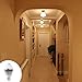 iThird E26 5W LED Motion Sensor Light Bulbs PIR Infrared Motion Detection Light Daylight Indoor/Outdoor Lighting Lamp for Porch Hallway Attic Garage 2 Pack