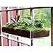 Window Garden Microgreen Tray with Fiber Soil and Spray Bottle - Grow Seeds to Fresh Greens - Growing Microgreens, Wheatgrass, Succulents with Style - Multi-Use Acrylic Planter - 15 x 6 x 2 inches