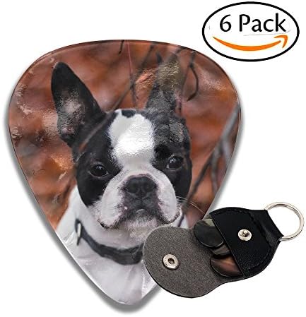 Bulldog Dog 351 Shape Medium Personalized Celluloid Guitar Pick (6-Pack) Electric And Bass Guitars Accessories Musical Gift