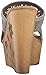 Sbicca Women's Carolena Wedge Sandal