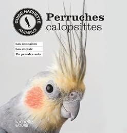 Perruches calopsittes