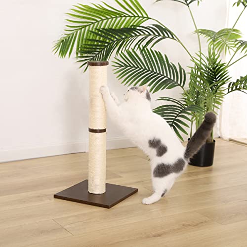 Amazon Basics Cat Scratching Post Tree 12 x 12 x 25 Inches, Burgundy