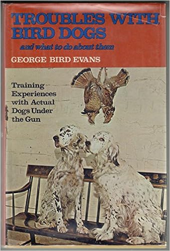 birddogs shorts amazon