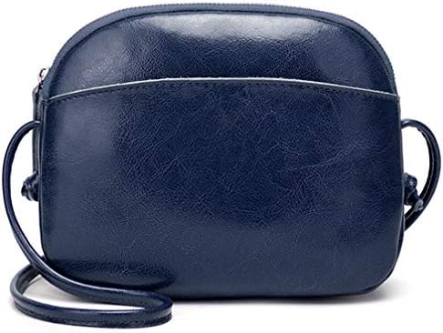 LoZoDo Small Crossbody Bags Shoulder Bag for Women Stylish Ladies Purse and Handbags Messenger Bags