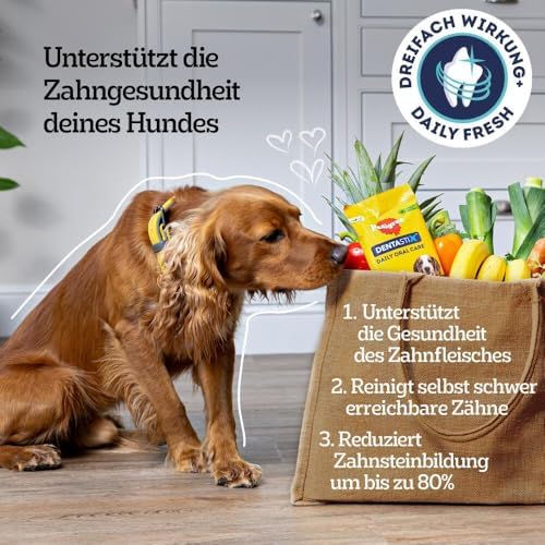 DentaStix Fresh Hundeleckerli für große Hunde, Kausnack gegen Zahnsteinbildung, Für gesunde Zähne und einen frischen Atem, 4 er Pack, 4 x 28 Stück