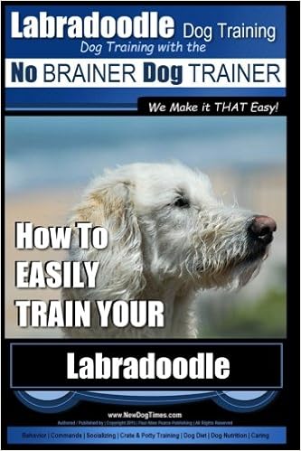 labradoodle training