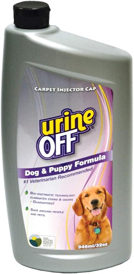 dog urine off carpet