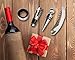 Vina Wine Opener Gift Set, 4 Pieces Wine Bottle Accessory Kit Includes: Stainless Steel Wine Corkscrew, Drop Ring, Wine Pourer, Wine Stopper, Arranged In a Elegant Box, Black