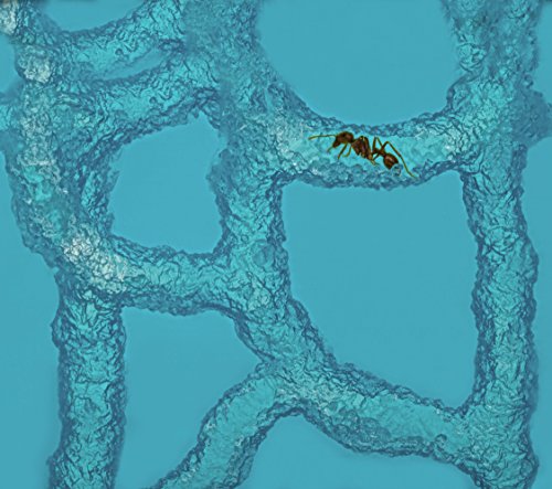 Ant Farm W/ LED Light. Enjoy A Magnificent Ecosystem. Great For Kids & Adults. The Best Ant Habitat W/ Enhanced Blue Gel. Evviva Educational & Learning Science Kits. Live Harvester Ants Not Included