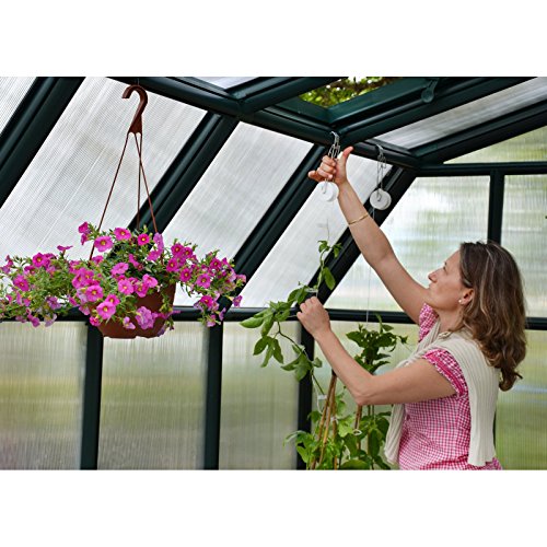 Rion Palram - Canopia Hobby Gardener 8' x 8' Greenhouse - Thumbnail 3