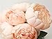 DOINSHOP Artificial Peony Silk Flower Leaf Home Wedding Party Décor 1 Bouquet 6 Heads (Pink)