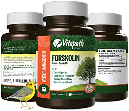 Forskolin Extract for Weight Loss, All Natural 250mg Appetite Suppressant Energy Booster, Healthy Fat Burner Formula With Forskohlli &amp; 70% HCA -120 Veggie Caps- By Vitapath
