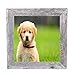 BarnwoodUSA Standard 10 by 10 Inch Picture Frame Reclaimed Wood