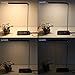 Coocheer LED Desk Lamp Adjustable Flexible Neck, Dimmable, Touch Sensitive with 5V/2A USB Charging Port, 4 Lighting Modes, 5 Level Dimmer