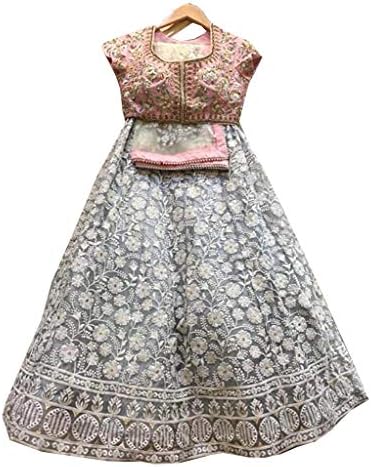 Nityanta Fab Women's net Semi Stitch lehenga choli (Grey_Free Size)