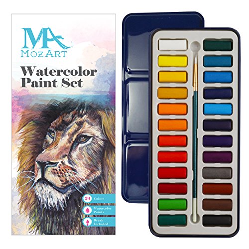 Achat Palette Retour Amazon France Avis Avis et Test : Arteza Peinture Acrylique Haut de Gamme pour Artiste