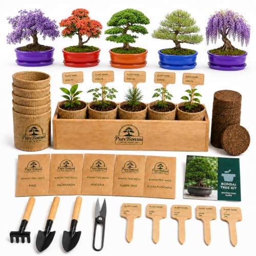 Bonsai Tree Starter Kit for Beginners – Complete Indoor Growing Kit with