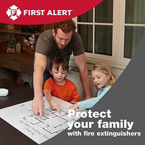 1 First+Alert+FE10GR+Extinguisher+White